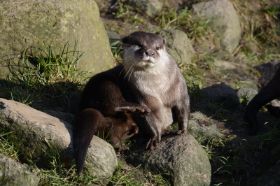 Tierpark 120225 111_Größenveränderung.JPG