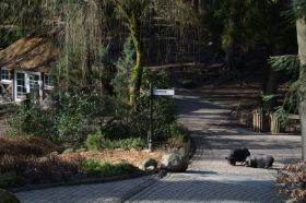 Tierpark 120225 114_Größenveränderung.JPG