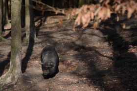 Tierpark 120225 115_Größenveränderung.JPG