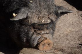 Tierpark 120225 119_Größenveränderung.JPG