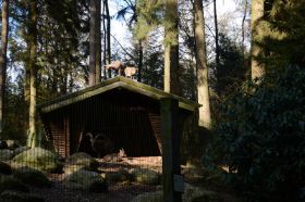 Tierpark 120225 124_Größenveränderung.JPG