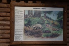 Tierpark 120225 129_Größenveränderung.JPG