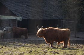 Tierpark 120225 138_Größenveränderung.JPG