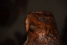 Tierpark 120225 140_Größenveränderung.JPG