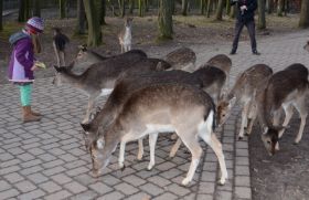 Tierpark 120225 148_Größenveränderung.JPG