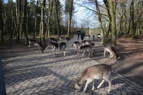 Tierpark 120225 152_Größenveränderung.JPG