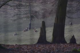 Tierpark 120225 160_Größenveränderung.JPG