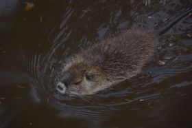 Tierpark 120225 166_Größenveränderung.JPG