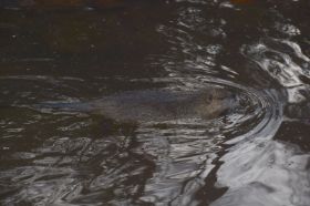 Tierpark 120225 167_Größenveränderung.JPG