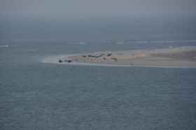 Borkum 101.JPG