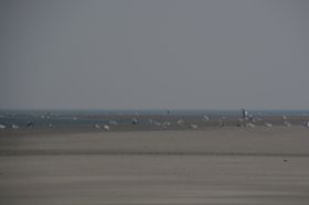 Borkum 119.JPG