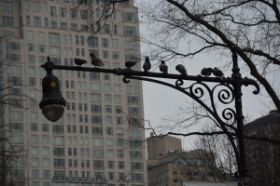 NY 1007.JPG