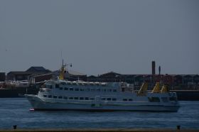 DSC_7230.JPG