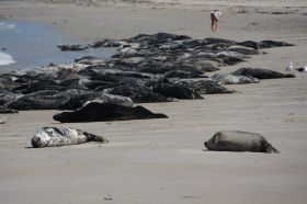 DSC_7280.JPG