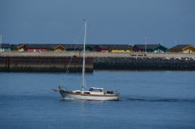 DSC_7397.JPG